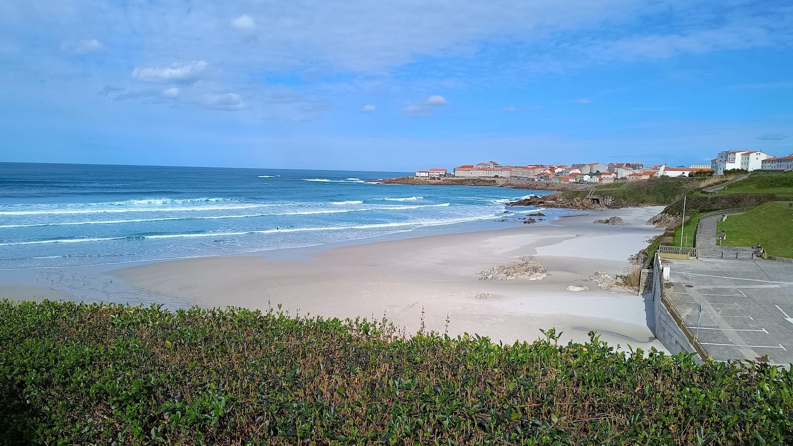 Sandee Salseira De Caracoleiro / Caion