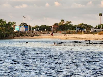 Sandee - Davis Islands Beach