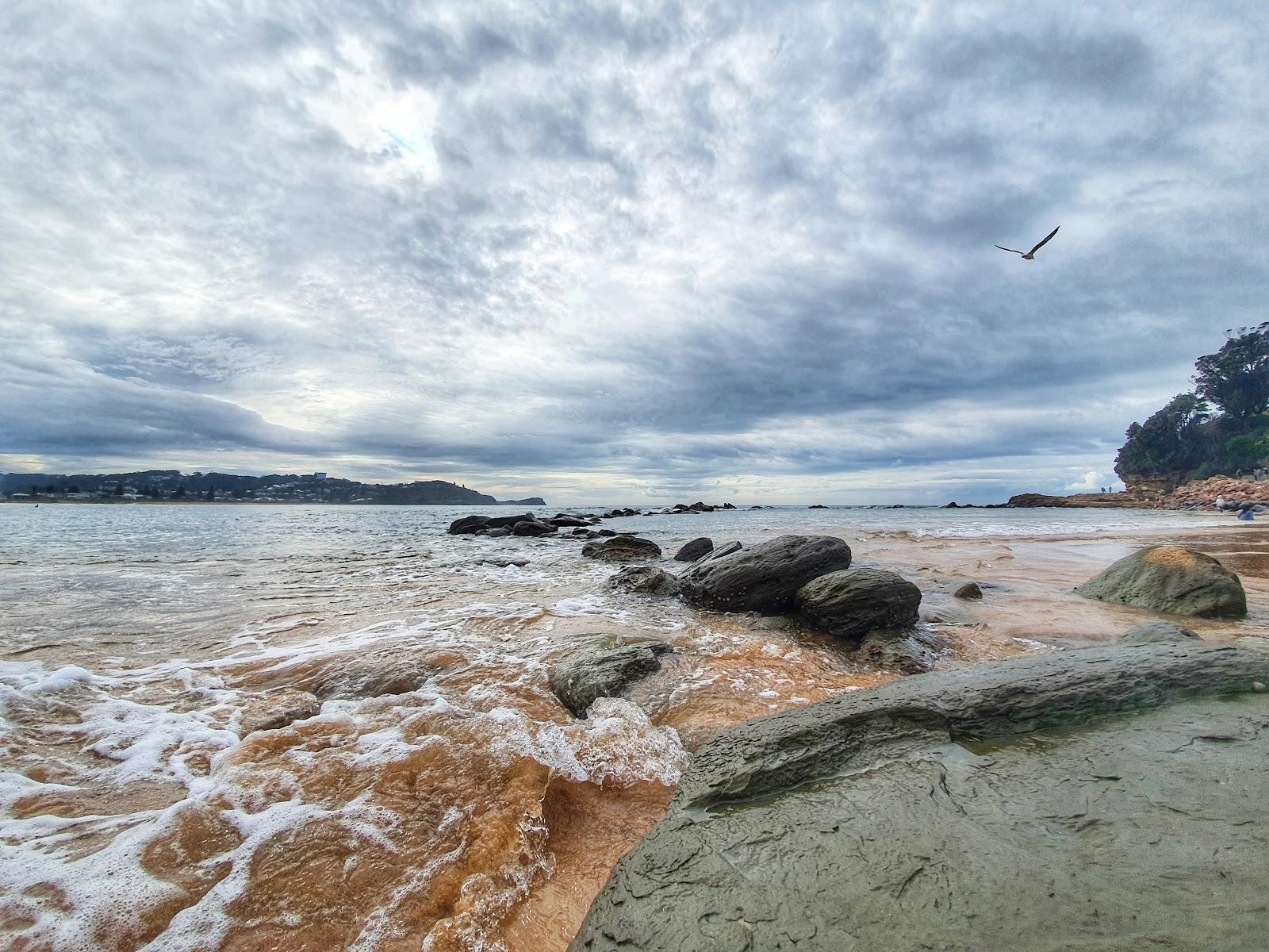 Sandee - Avoca Beach