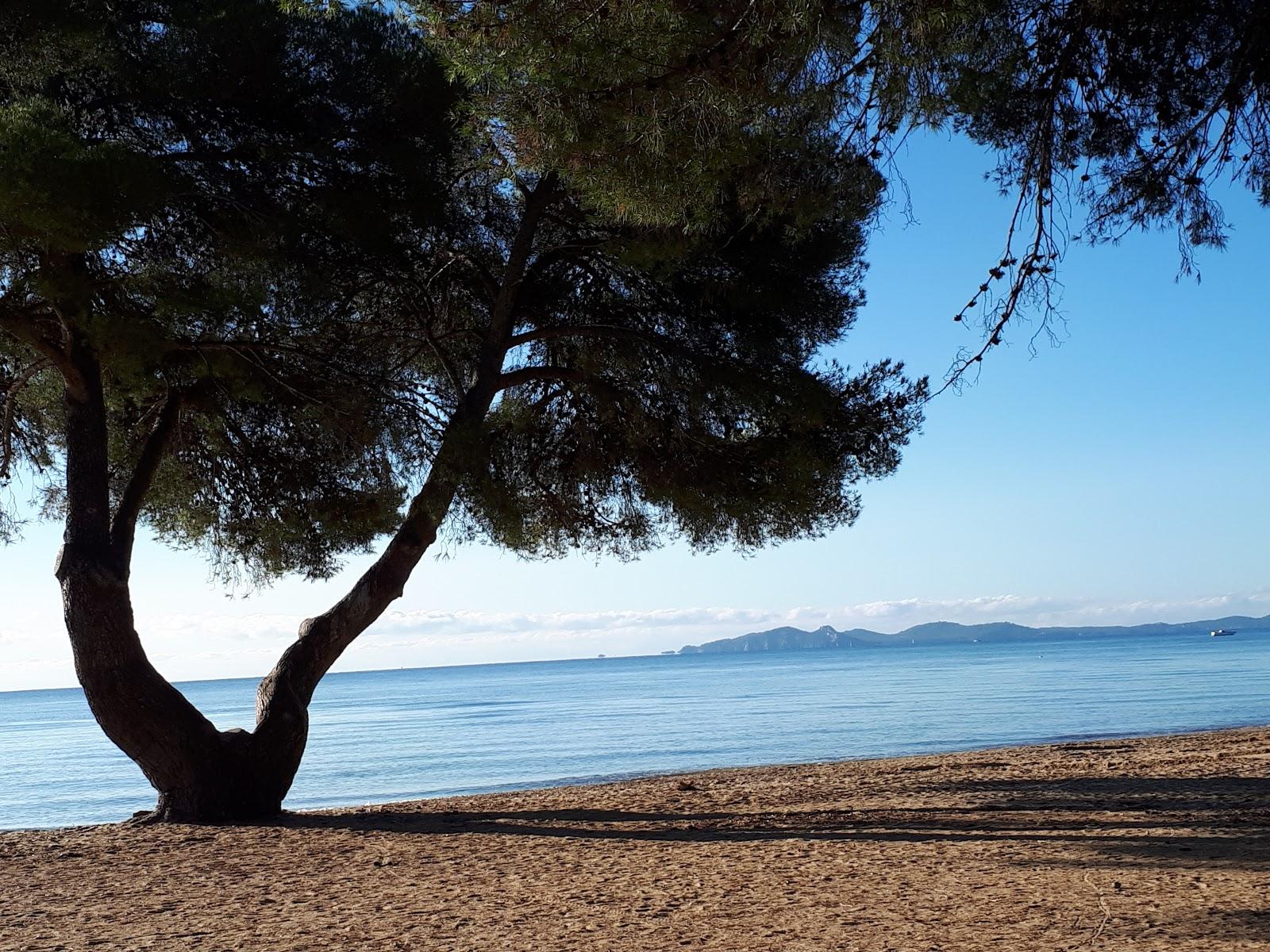 Sandee - Beach Le Patelin