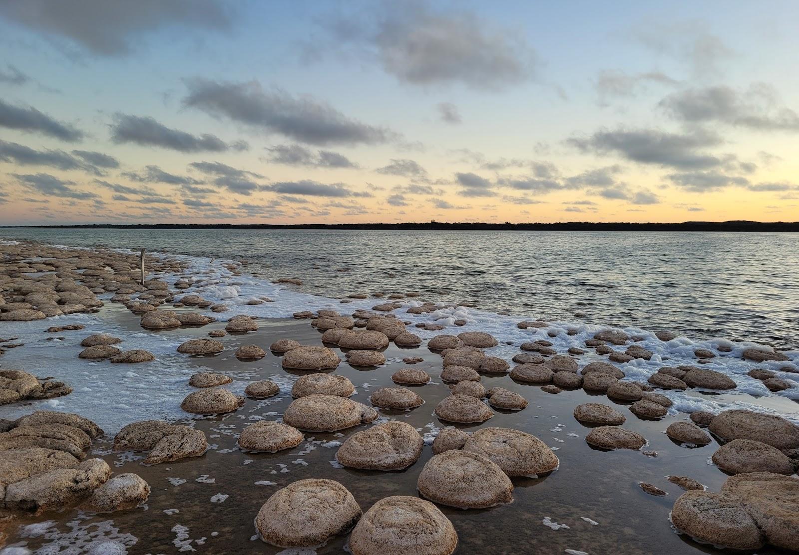Sandee Lake Clifton Thrombolites