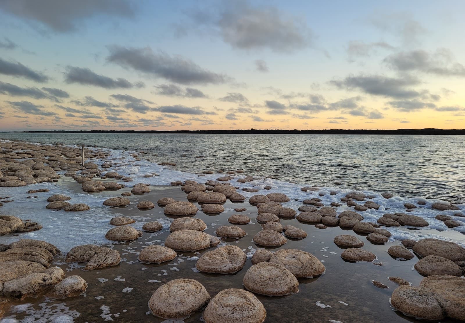 Sandee - Lake Clifton Thrombolites