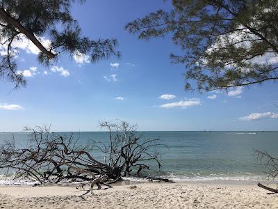 Sandee - Wiggins Pass Beach