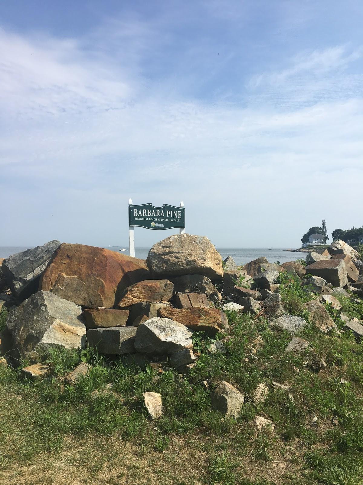 Sandee Barbara Pine Memorial Beach Photo