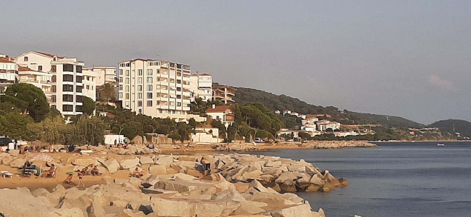 Sandee Armutlu Kum Plajlar