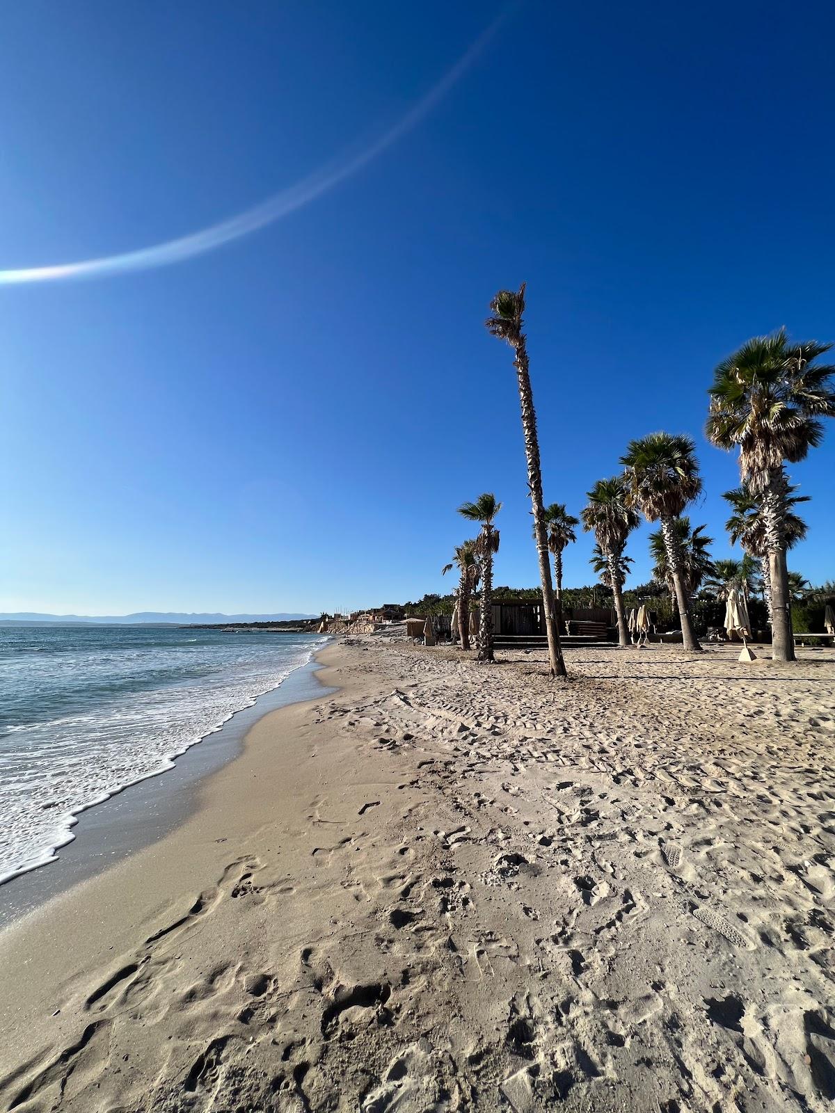 Sandee Before Sunset Beach Photo