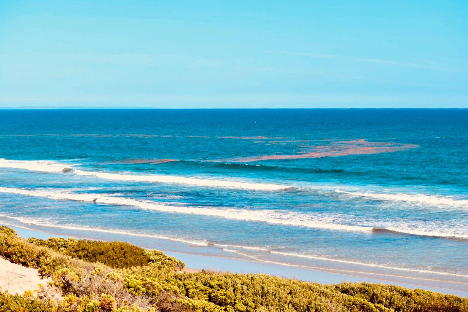 Sandee Breamlea Lookout