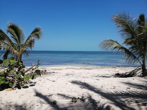 Sandee - Playa Punta Xen