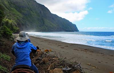 Sandee - Awahua Beach