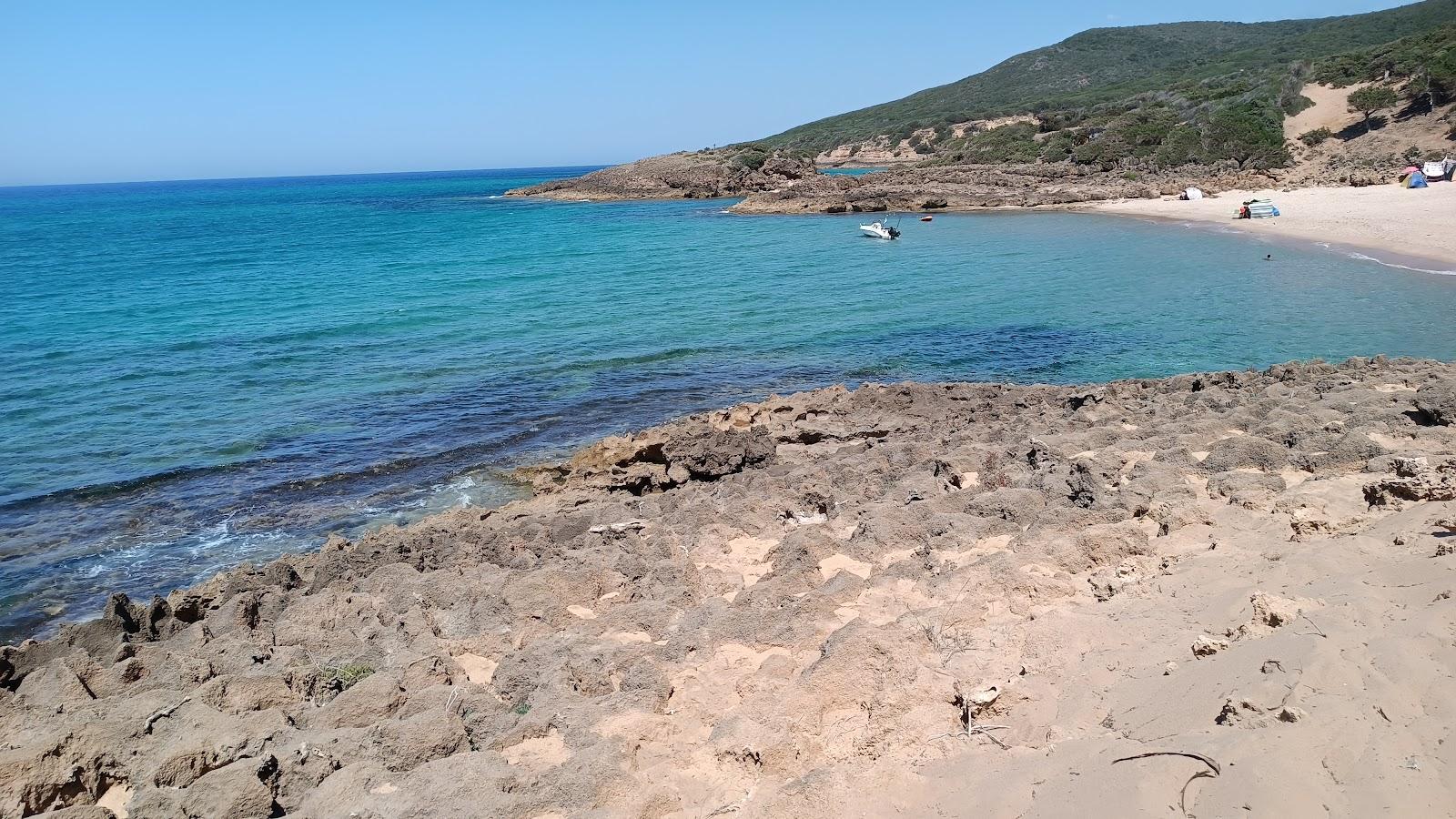 Sandee Lady's Beach
