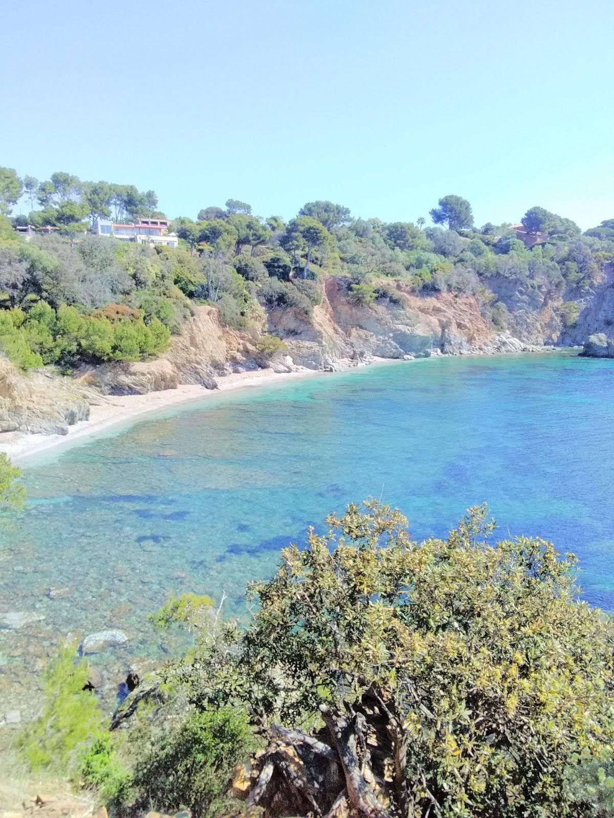 Sandee Plage Des Darboussieres Photo