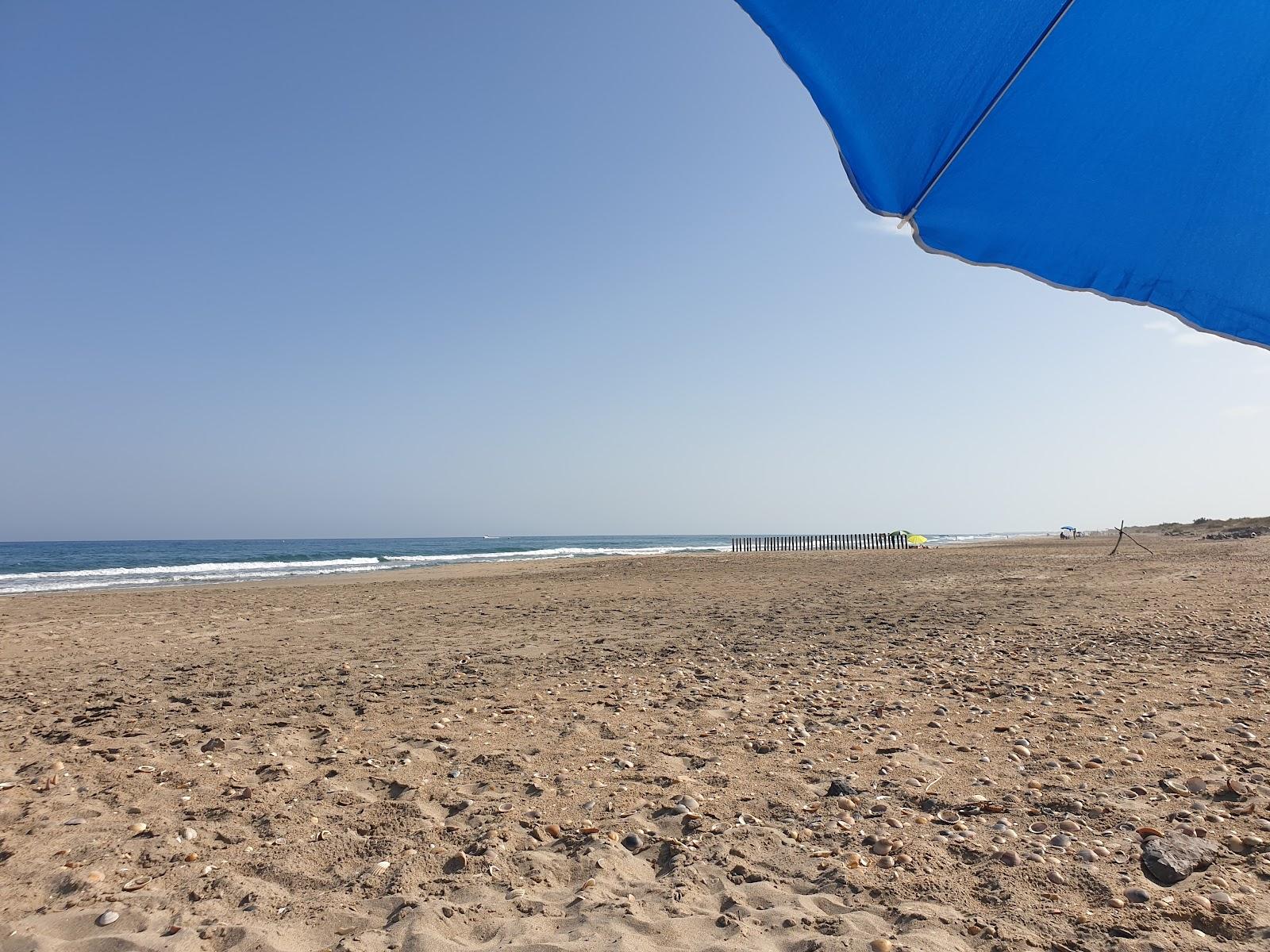 Sandee Plage Du Jalabert Photo