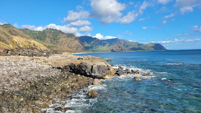 Sandee - Ka'Ena Point State Park