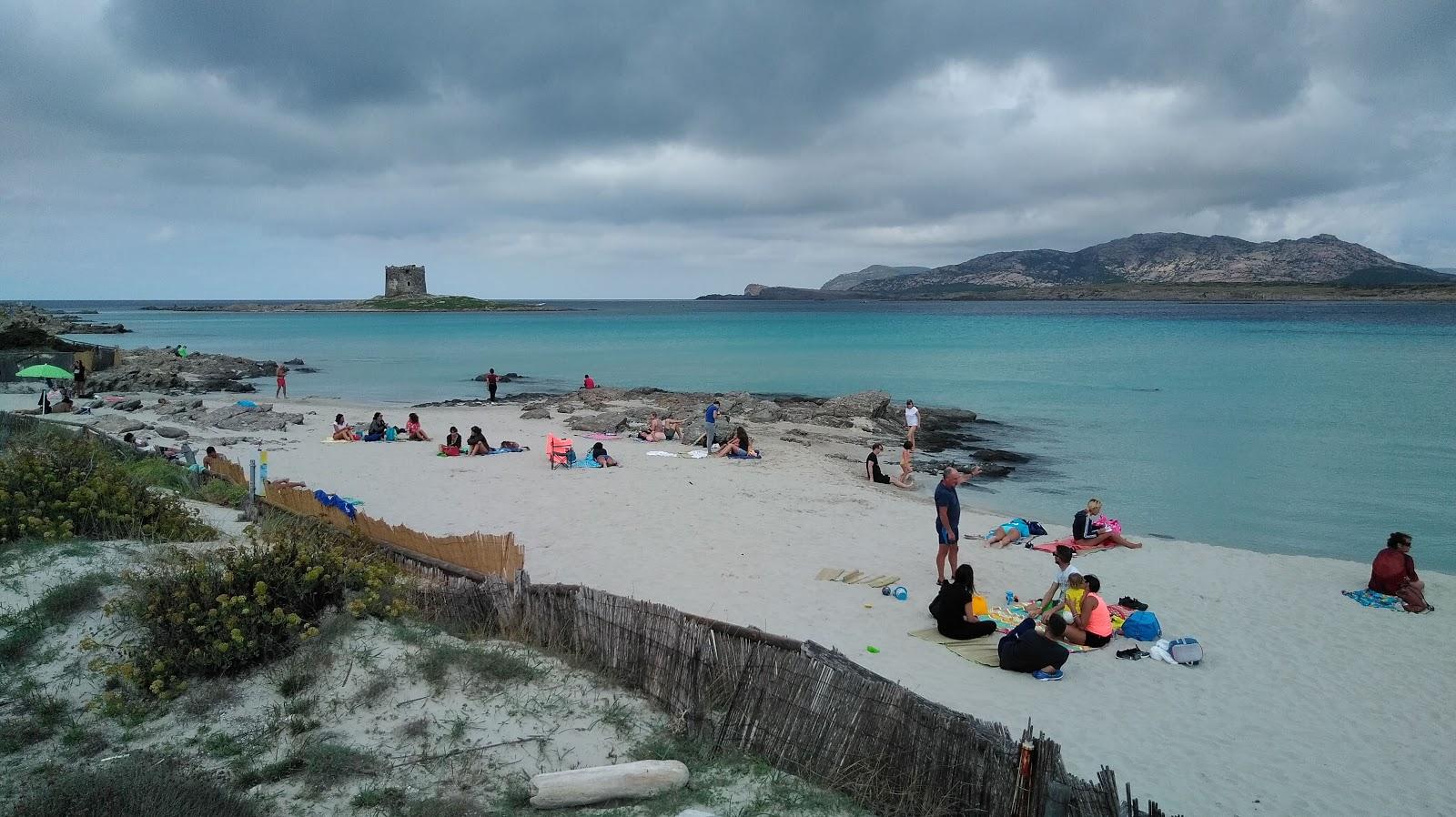 Sandee Spiaggia Del Porto Di Stintino