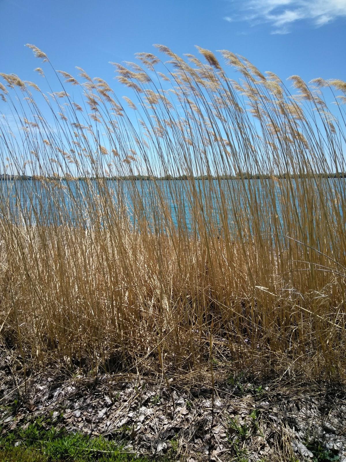 Sandee - Airman's Beach