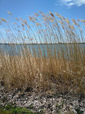 Sandee - Airman's Beach