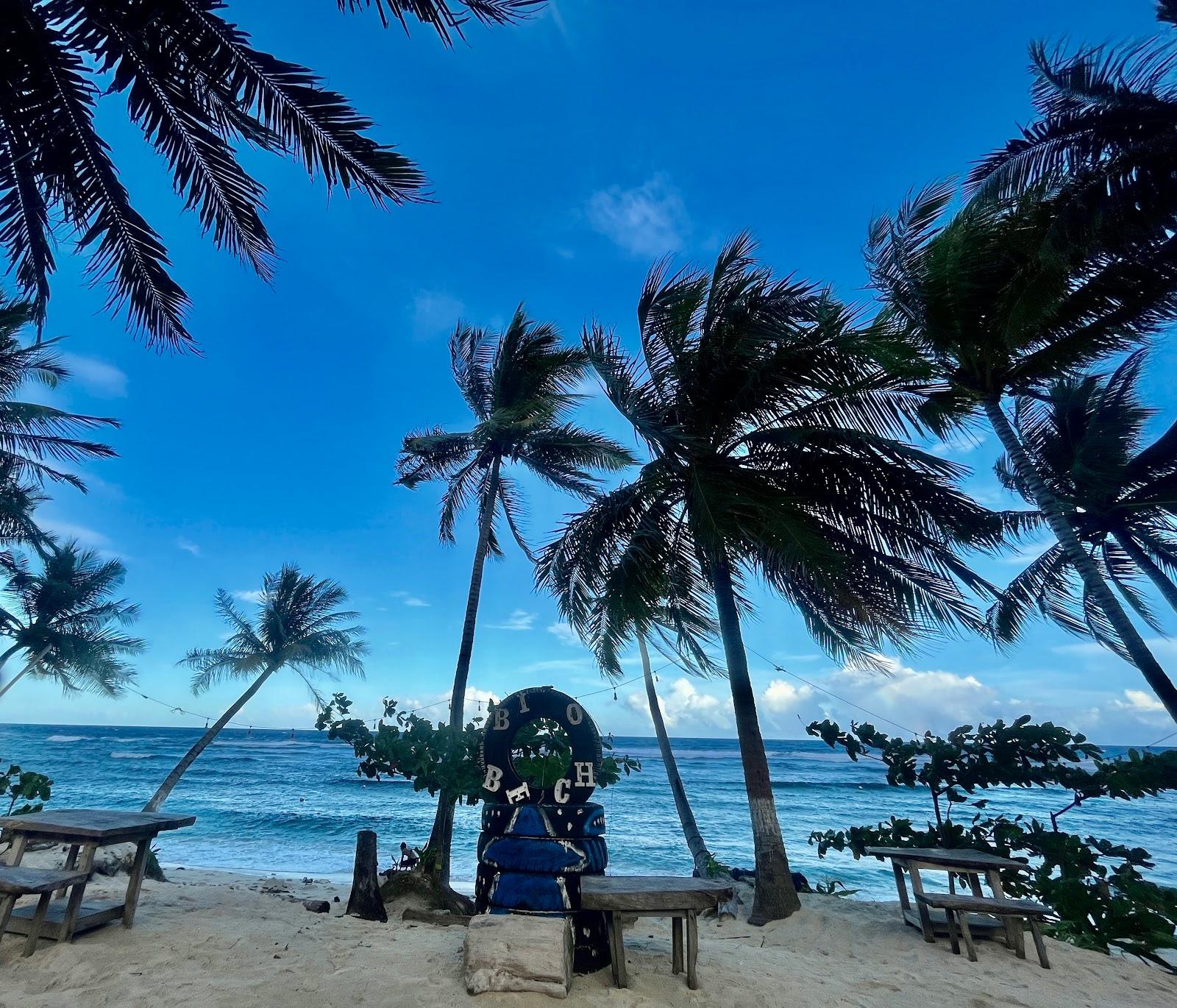 Sandee Biao Beach Resort