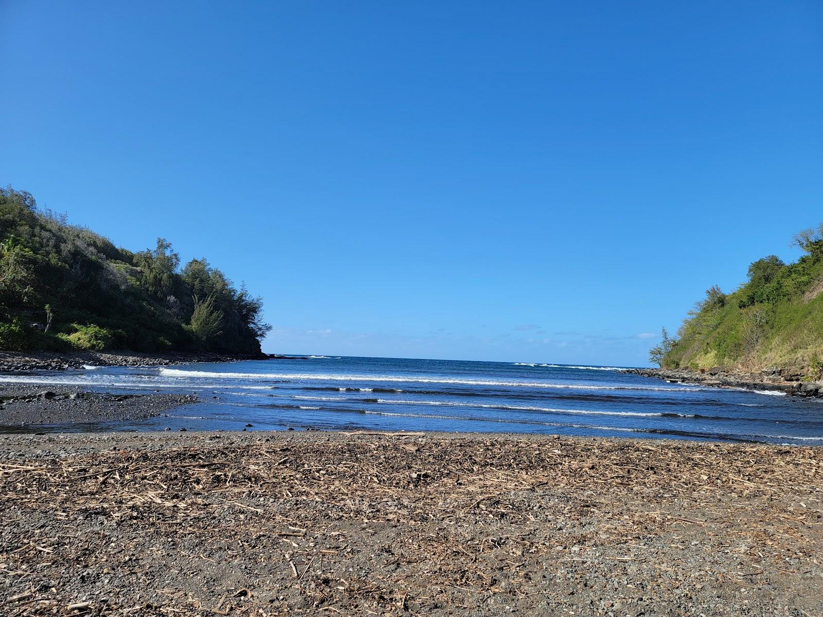 Sandee Maliko Bay Beach Photo