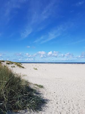 Sandee - Beach Pavilion De Marlijn