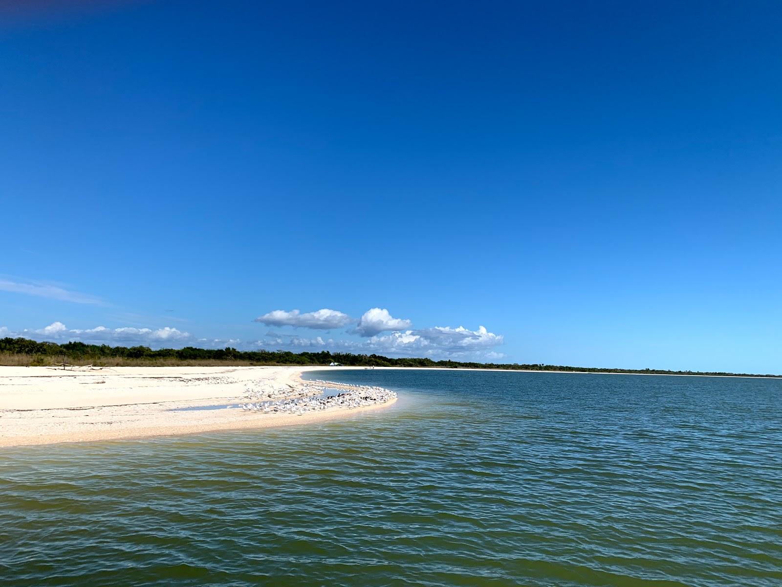 Sandee - Middle Cape Beach