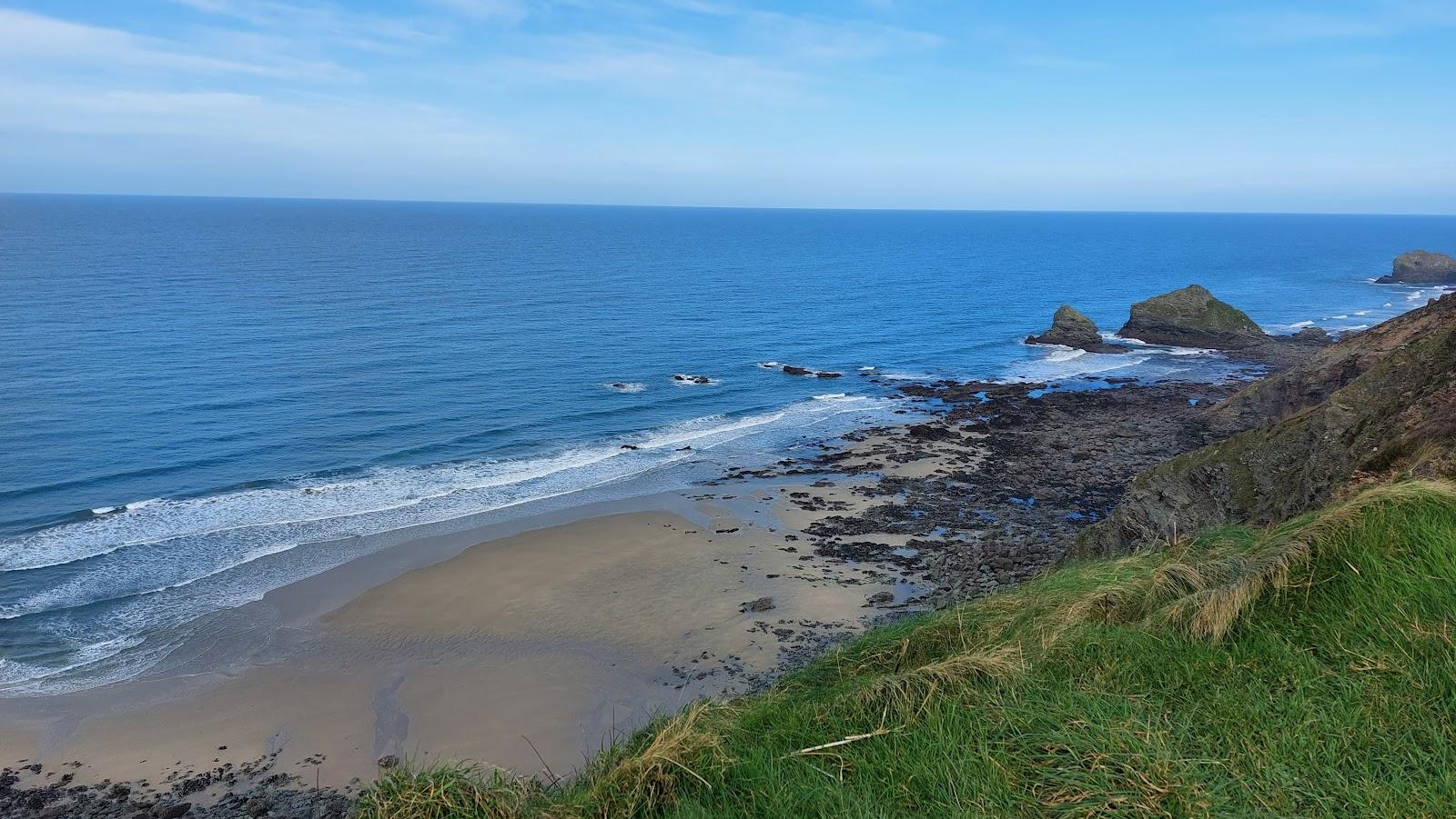 Sandee Bassetts Cove Beach Photo