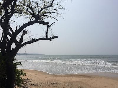 Sandee - Kiruhole Beach Bhatkal