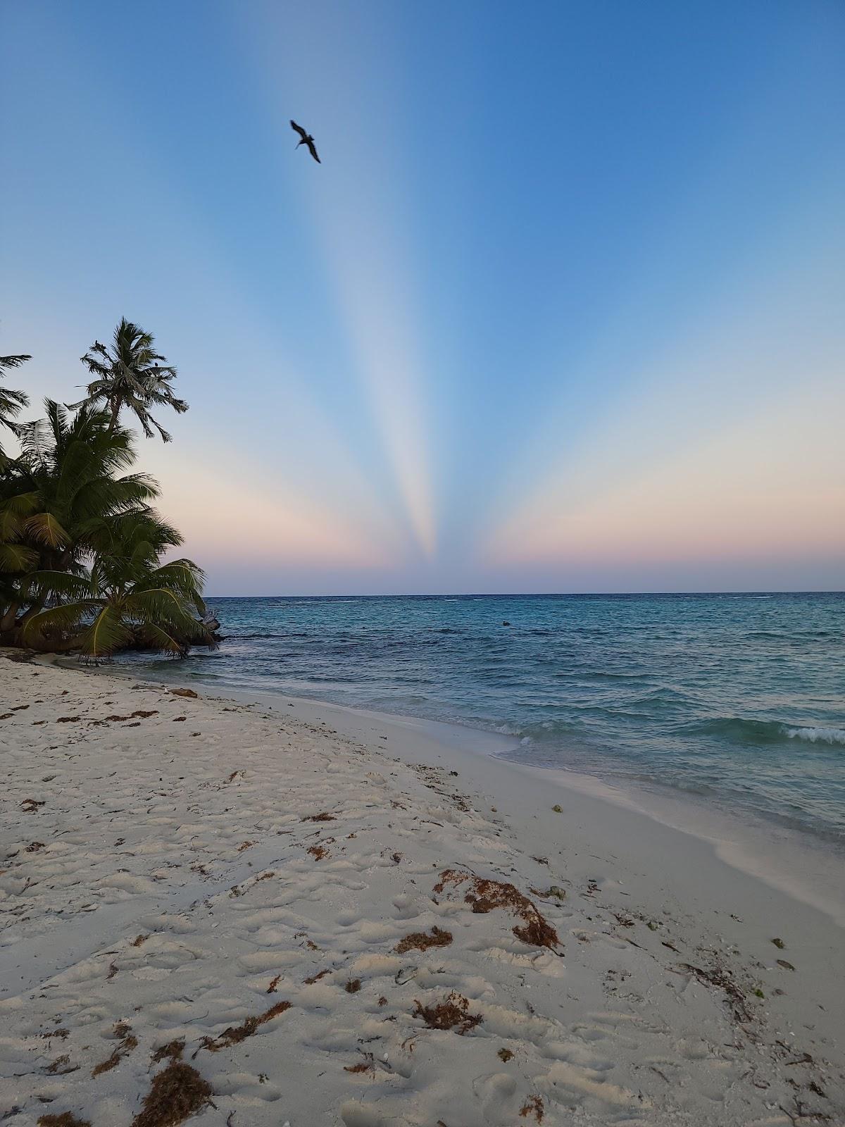 Sandee Caye Ranguana