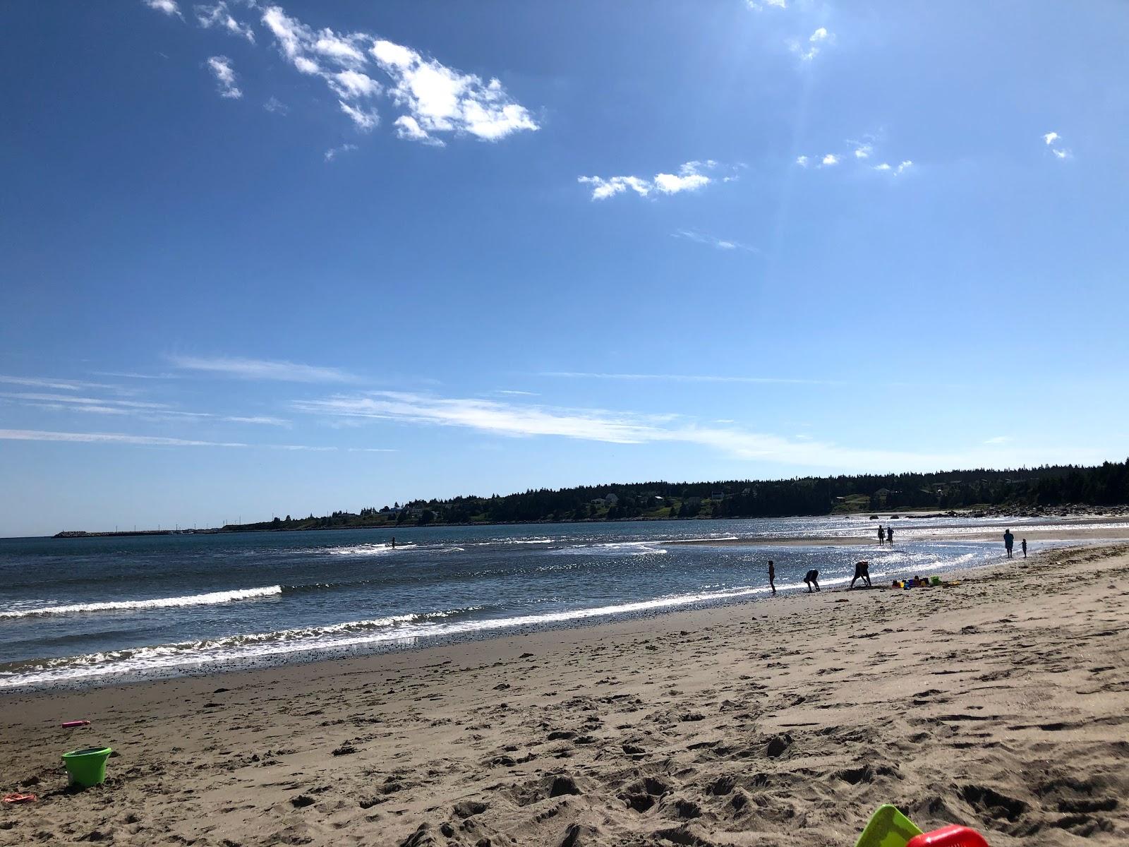 Sandee New Harbour Sand Beach