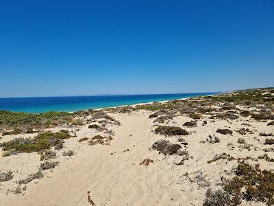 Sandee - Praia Da Aberta Nova