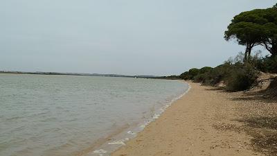 Sandee - Rio San Pedro Beach