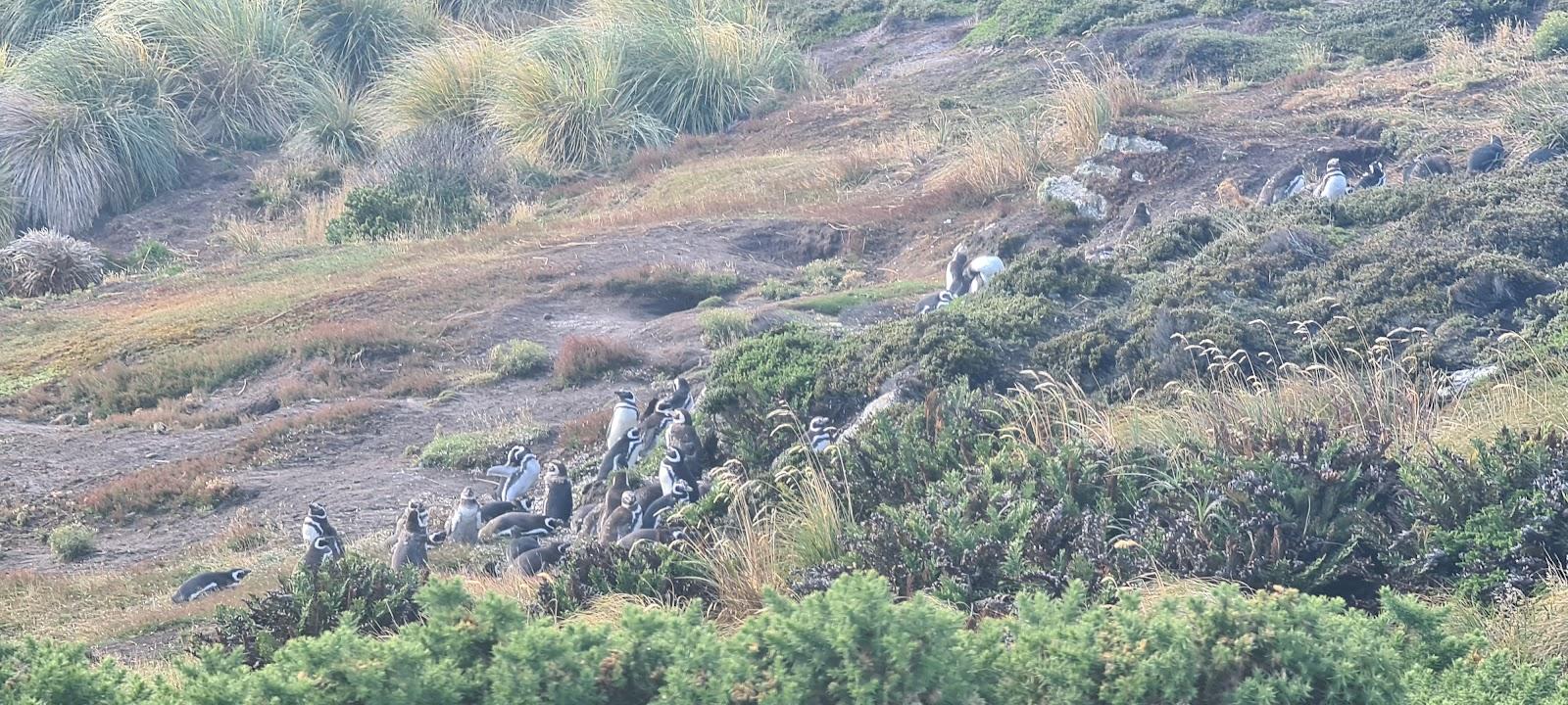 Sandee - Cape Pembroke