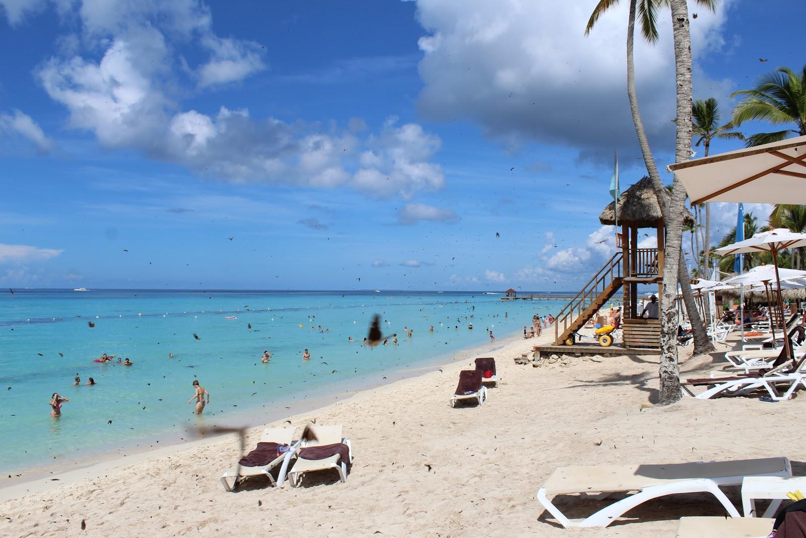 Sandee Playa Publica Dominicus