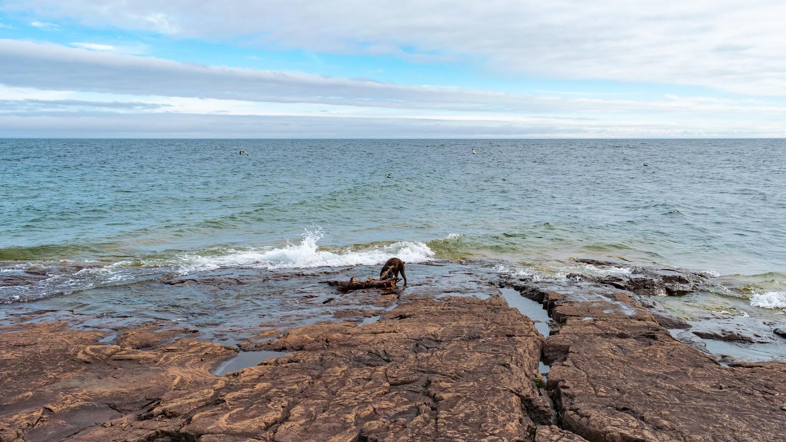 Sandee - Agate Bay