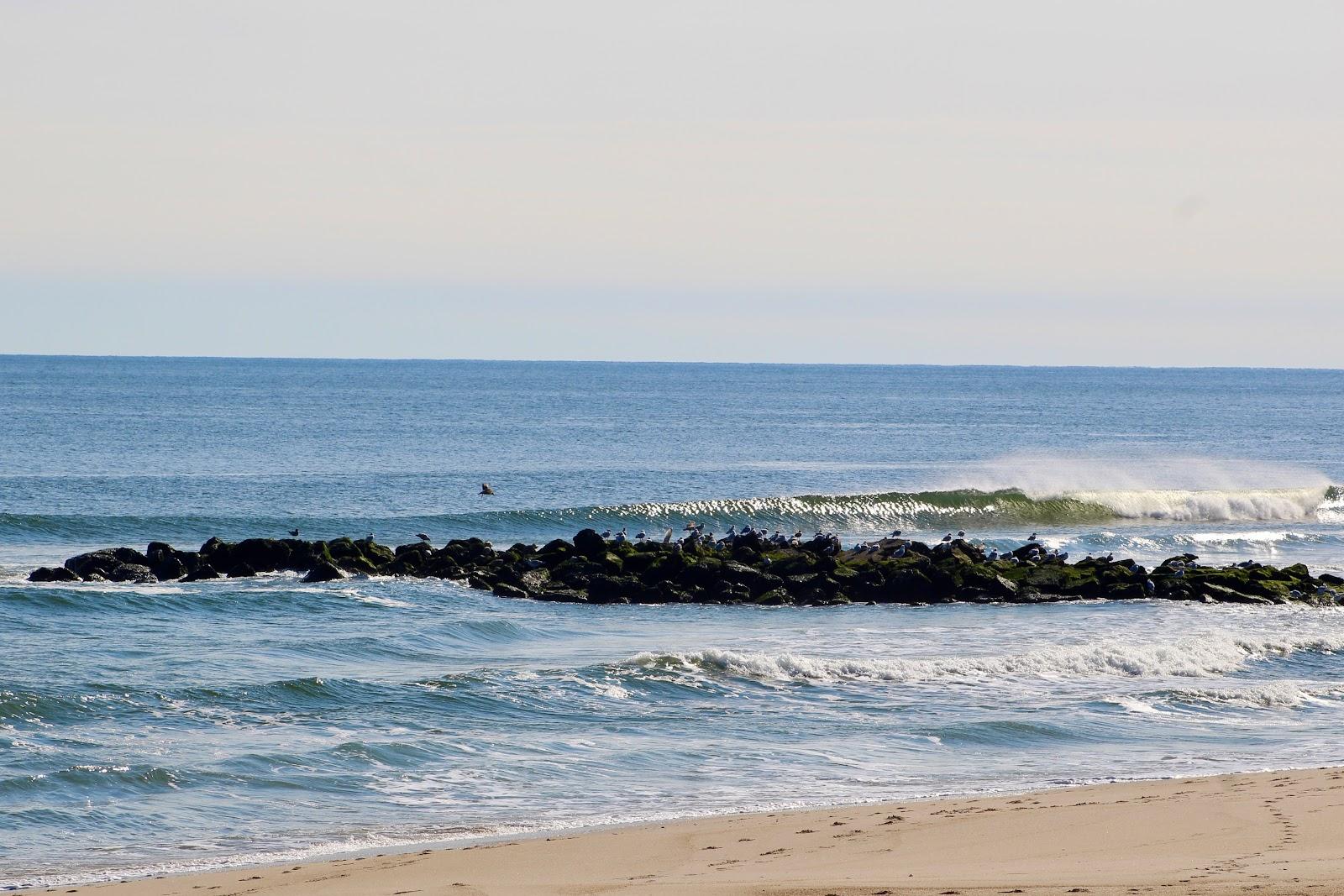 Sandee - Spring Lake Beach