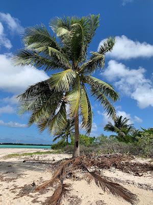 Sandee - Owen Island