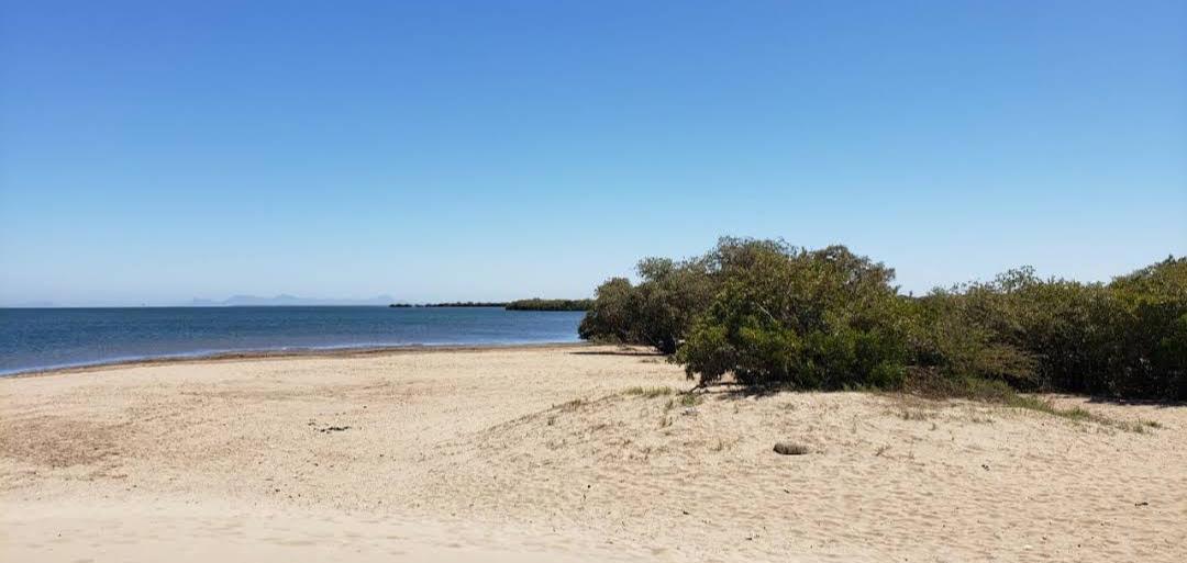 Sandee Zopilote Beach