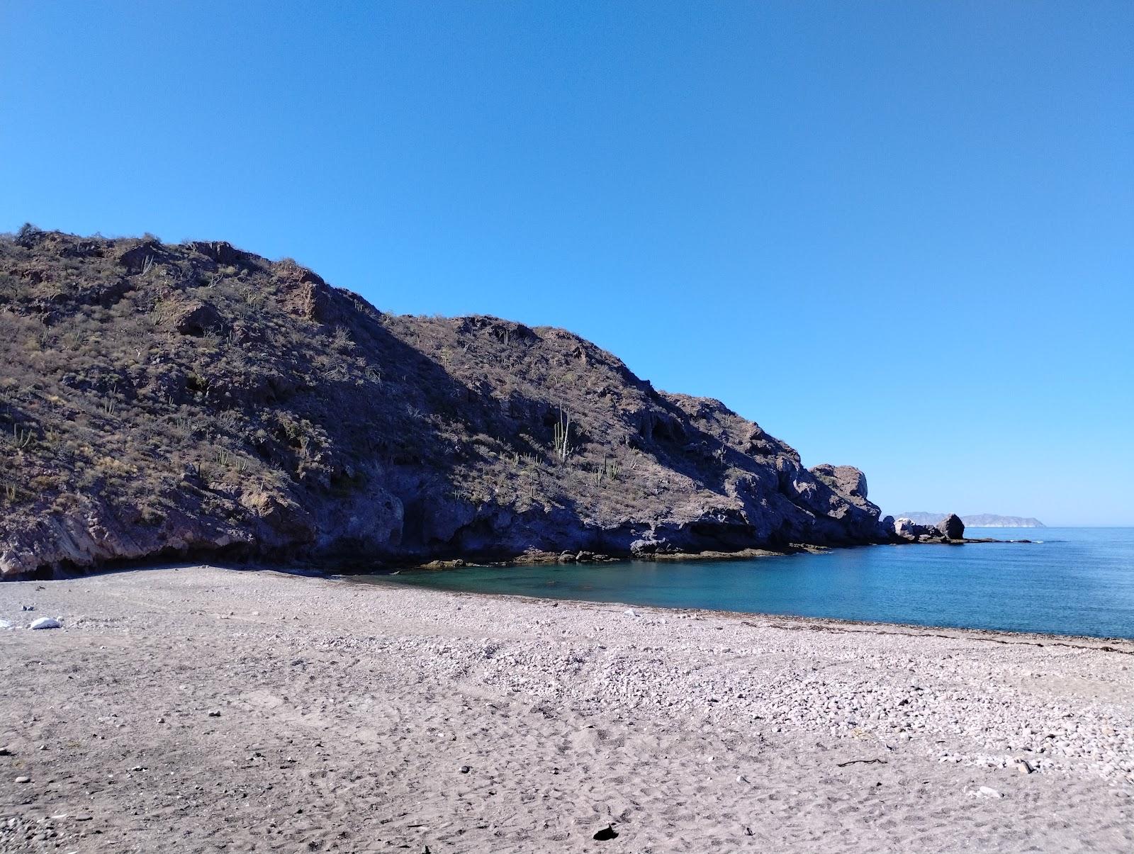 Sandee Playa La Venencia