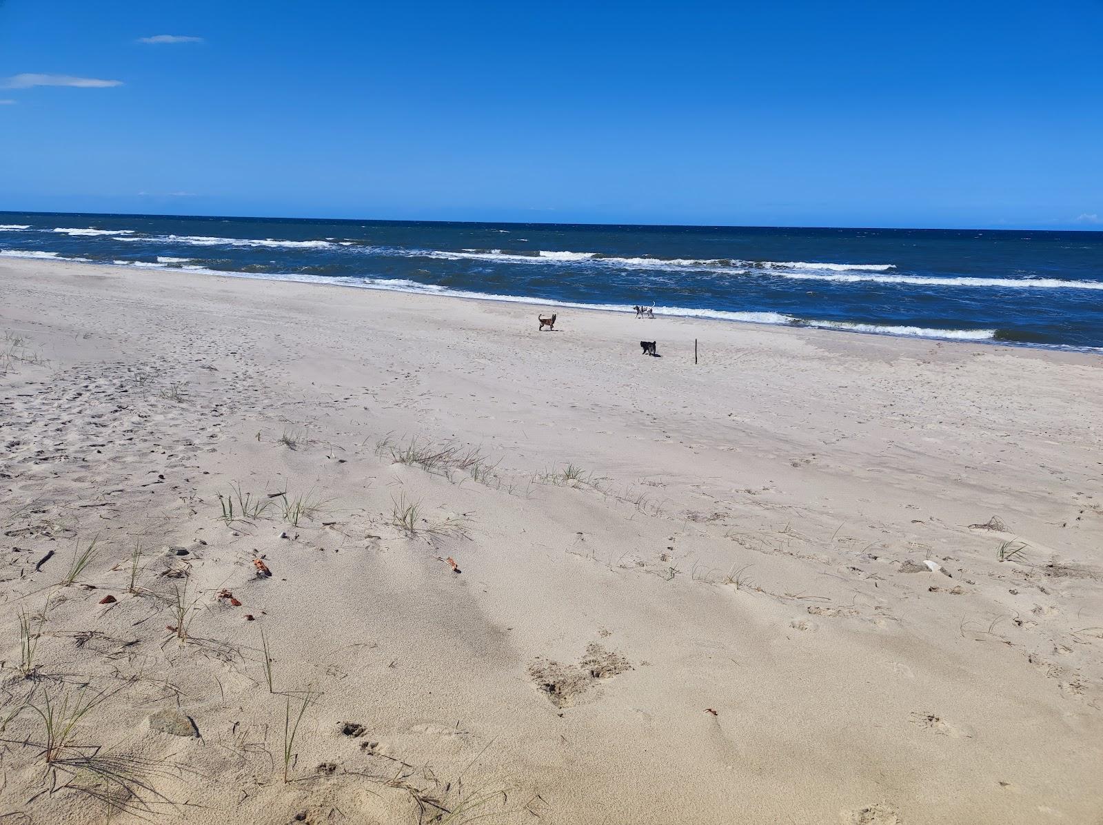 Sandee Gay Nudist Beach