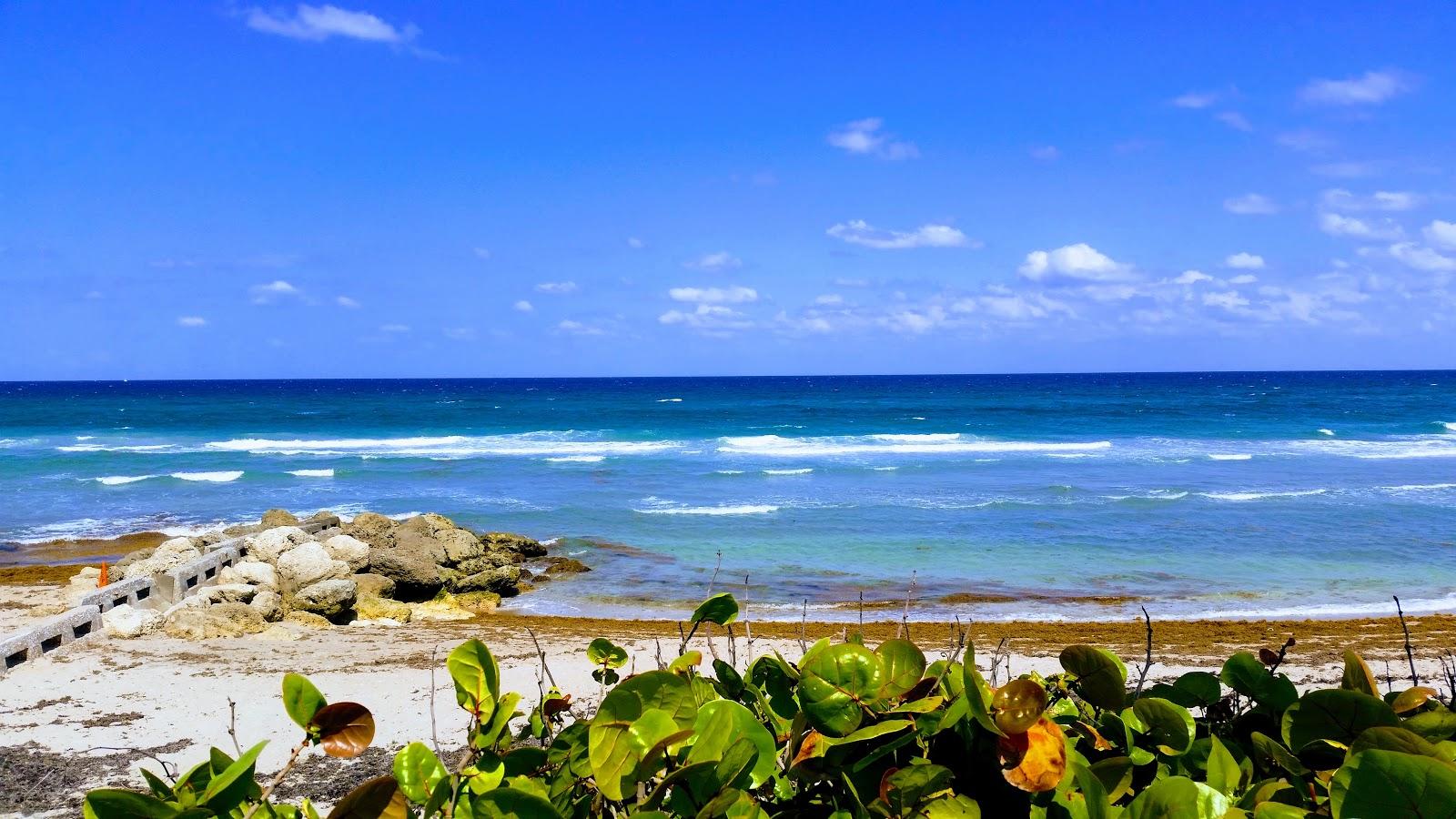 Sandee Palm Beach