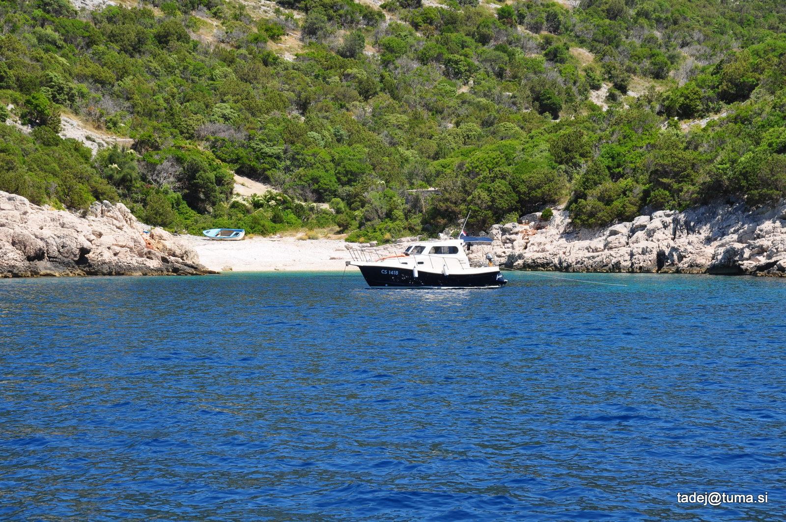 Sandee Tetoviscica Bay