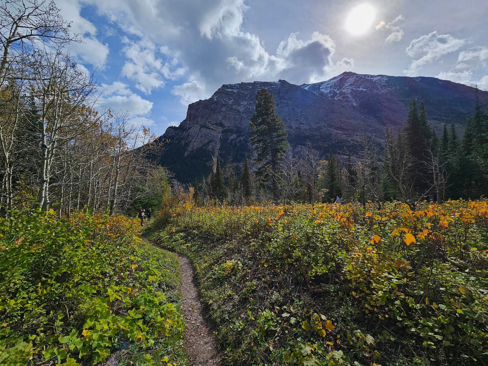 Sandee - Cosley Lake Campground