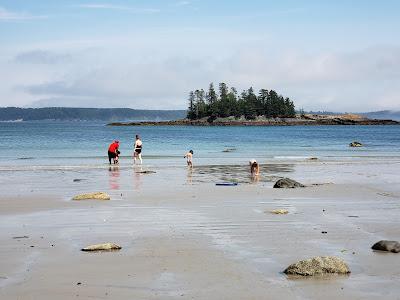 Sandee - Sandy River Beach