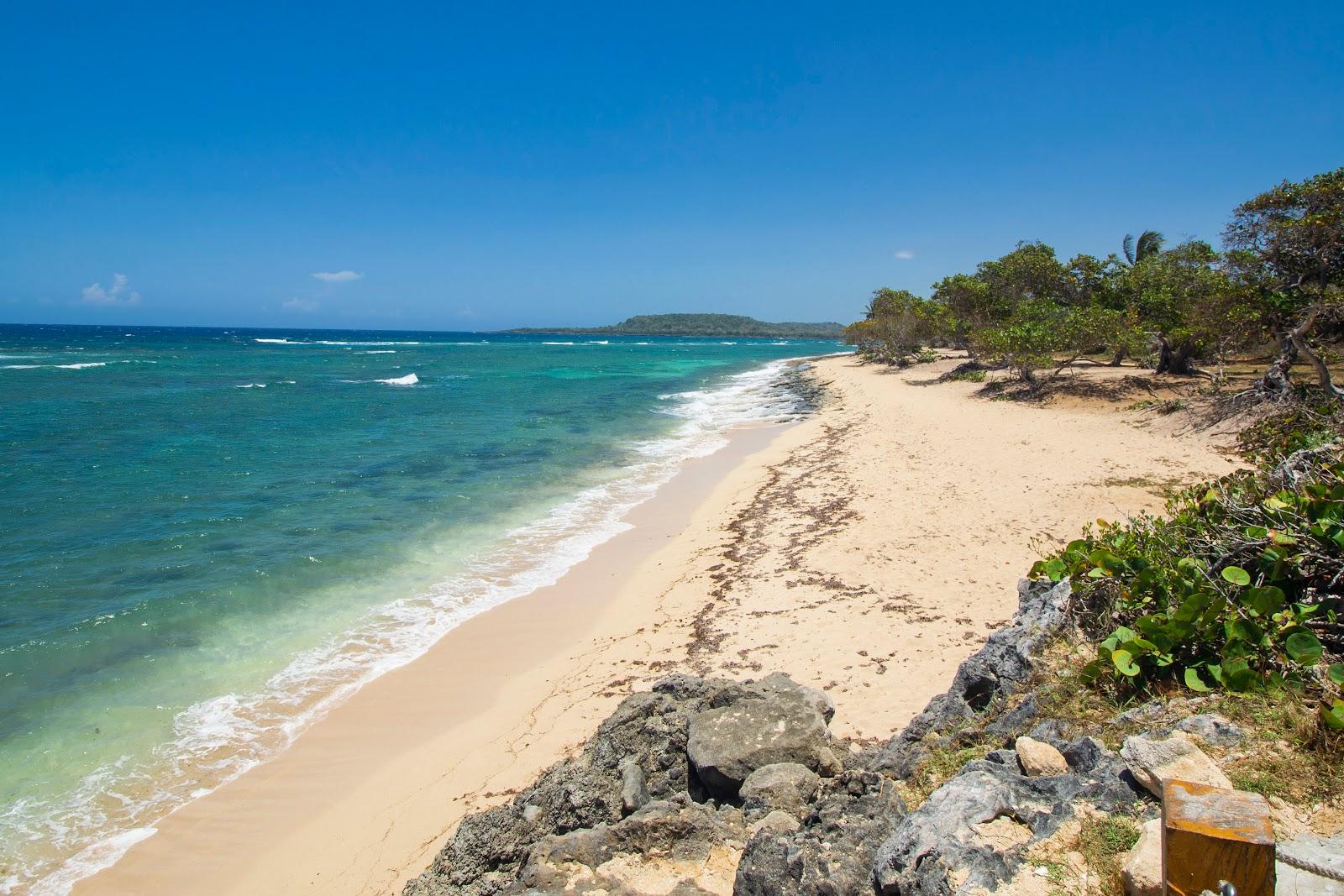 Sandee Playa Grande Photo