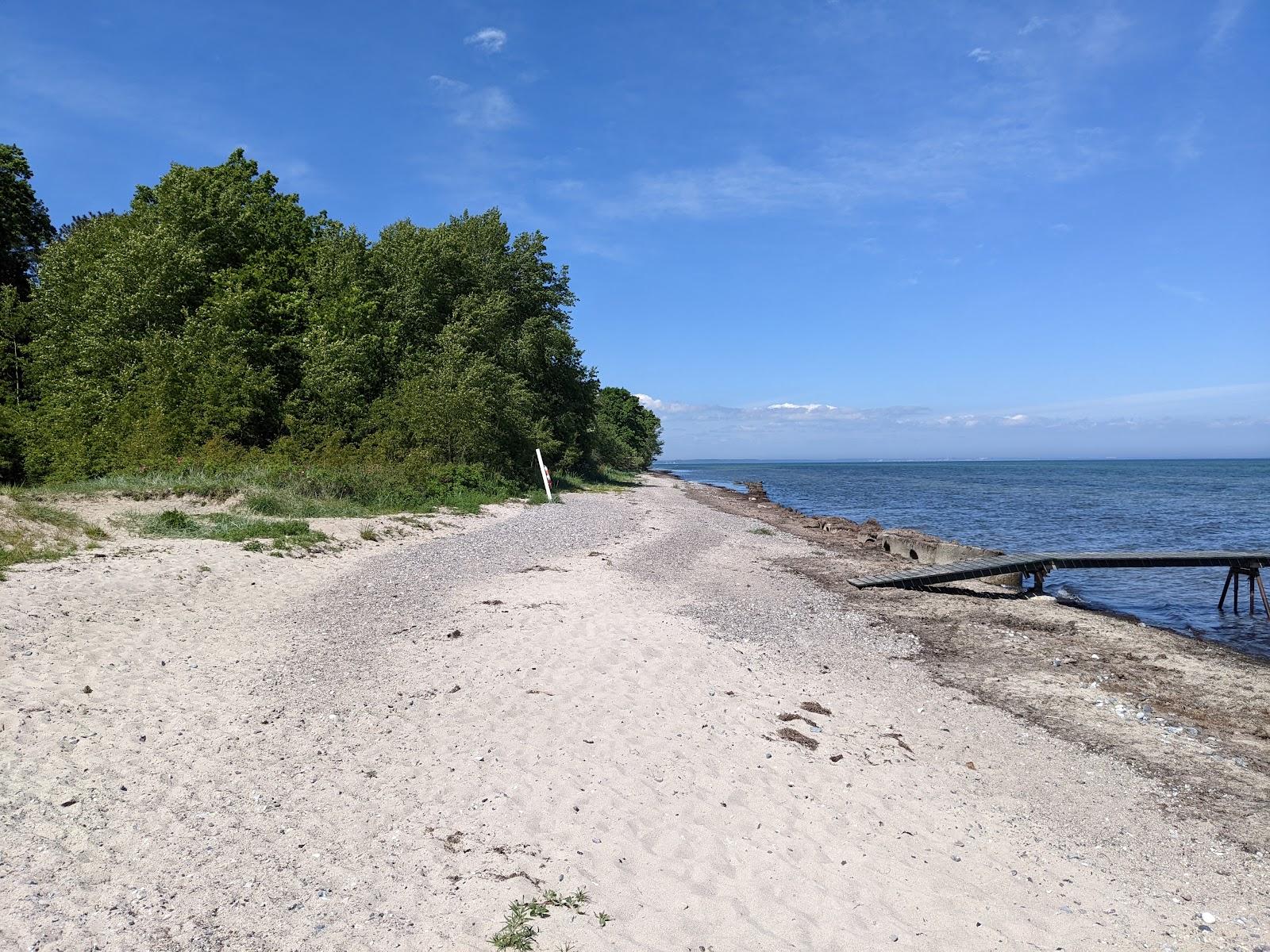 Sandee Klippinge Skov Strand