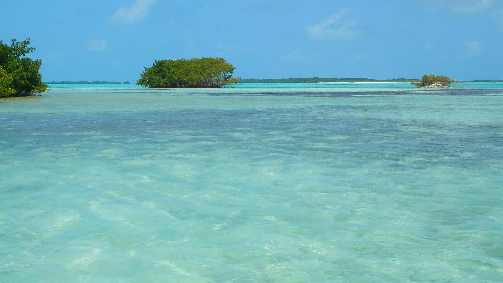 Sandee Cayo Rabusqui