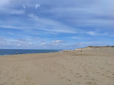 Sandee - Plage De La Pointe. Cap Ferret