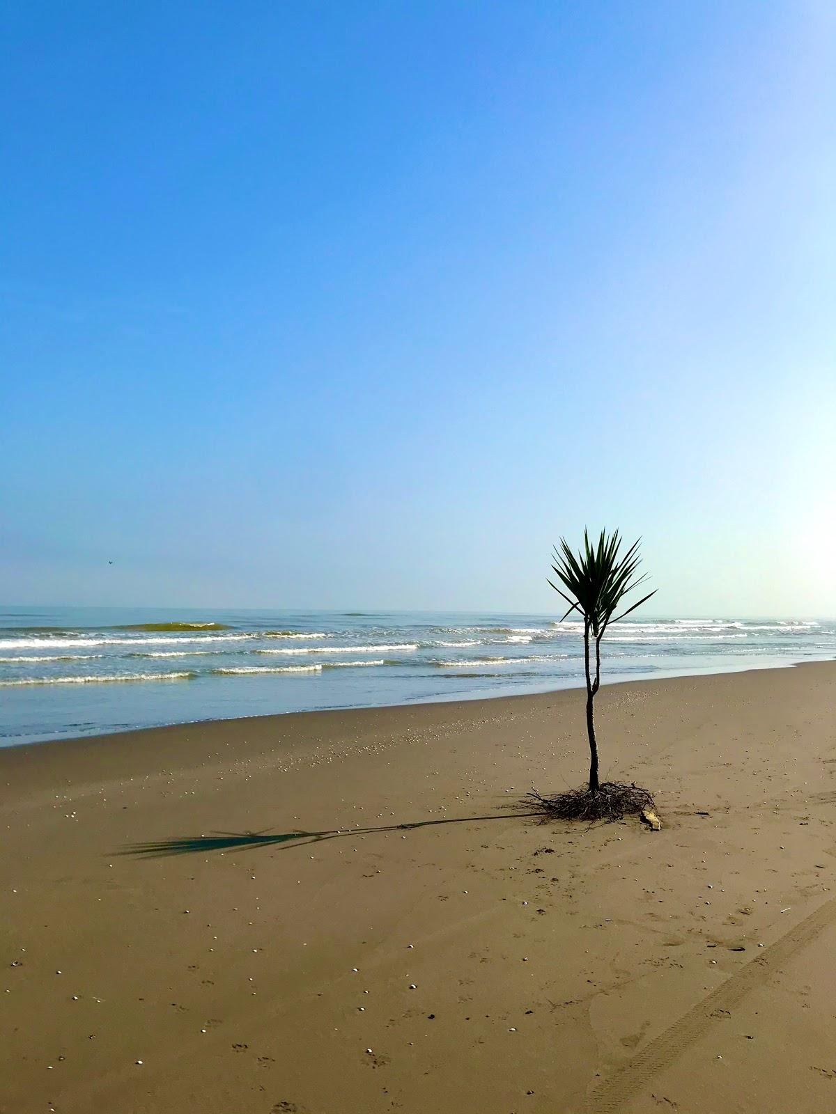 Sandee Dojman Beach