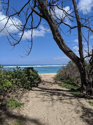 Sandee - Mokuleiia Army Beach