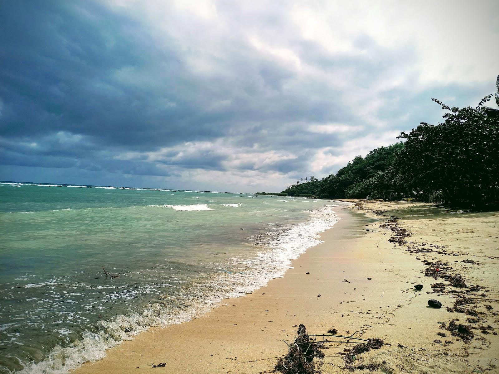 Sandee Aron's Beach Resort