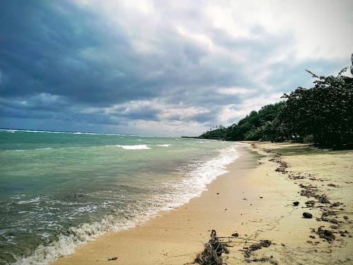 Sandee Aron's Beach Resort Photo